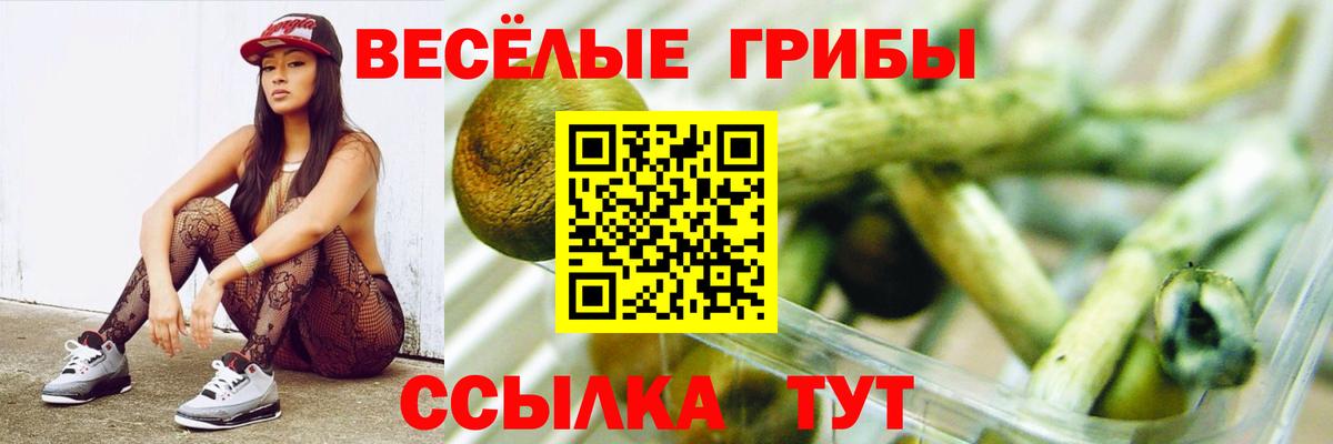 Псилоцибиновые грибы мухоморы  Вход с VPN  Красноармейск 